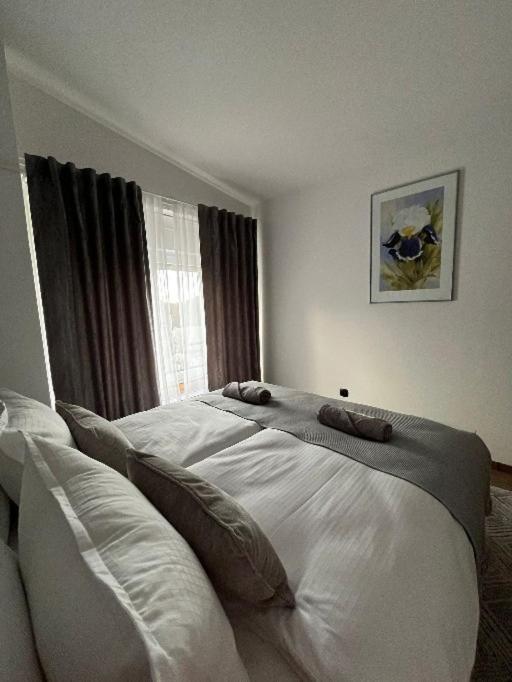 Apartman Orchid *